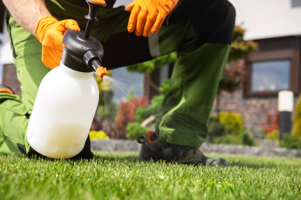 Insect Control in Lakewood, SC