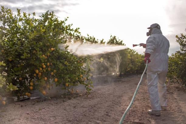Best Pest Control Near Me  in Lakewood, SC