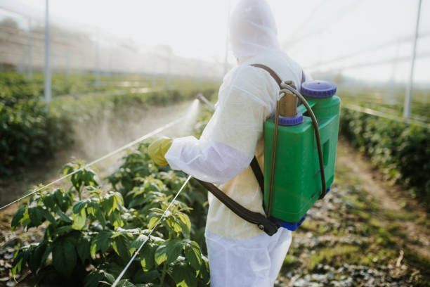 Lakewood, SC Pest Control Company